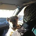 ��� ��������� �� ������� ���� ����������