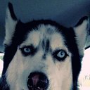 ���� ��������, ������, 33 ���� - ��������� 7 ������� 2015 � ������ �������