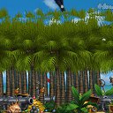 ���� ��������, ���������, 58 ��� - ��������� 28 ������� 2015 � ������ �Tropikania�