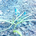 ��� � �����!!!! �� ������� ������ ��������