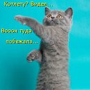 ���� Kolya, ����, 52 ���� - ��������� 10 ������� 2015 � ������ ���� ����������