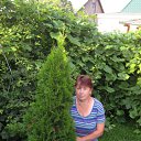 ���� ������, ������������, 66 ��� - ��������� 17 ������� 2015 � ������ ���� ���