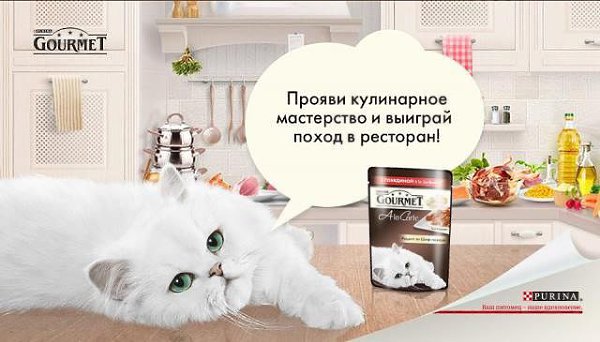 «МЯЯЯУ!» – кричат все кошки мира, потому что с кухни Purina пропал шеф-повар, умеющий угодить их ...