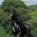 ���� ��������, ��������, 73 ���� - ��������� 28 ������� 2015 � ������ ������������ �������