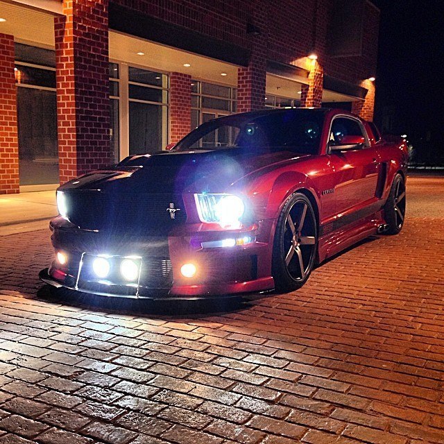 Mustang Eleonor. - 9