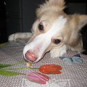 ���� �����, �������, 57 ��� - ��������� 10 ������� 2015 � ������ ���� ����������