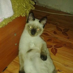 ���� ������, �����, 48 ��� - ��������� 18 ����� 2015