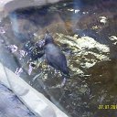 ���� Eugene, �������, 43 ���� - ��������� 18 ������� 2014 � ������ ����������� ��������