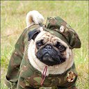 ���� Serg, ����������, 40 ��� - ��������� 17 ������ 2015 � ������ ������ ��������