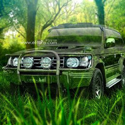 ���� ������, ����������, 41 ��� - ��������� 29 ����� 2015