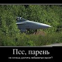 ���� ����, ������������, 34 ���� - ��������� 28 ������ 2015 � ������ ������ ��������