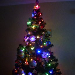 ���� ������, ���� - ��������� 28 ������� 2014