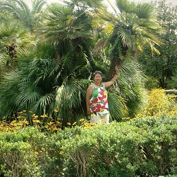 ���� ������, ������ - ��������� 6 ����� 2015