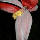 ���� ��������, ��������� - ��������� 27 ����� 2015 � ������ ������ �� ����