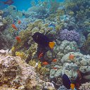 ���� Df, ������ - ��������� 30 ������ 2015 � ������ �������� ����