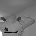   Murcielago, , 40  -  8  2015    