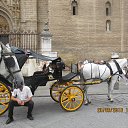 ���� ����, ������, 40 ��� - ��������� 8 ������ 2015 � ������ ���� ����������