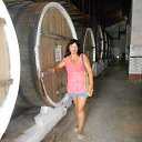 �� ������ ������ �� ������� ����� 2014�