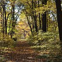 ���� ����, �������, 53 ���� - ��������� 1 ������� 2015 � ������ ���� ����������