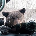 ���� ����, ���, 54 ���� - ��������� 25 ������� 2014 � ������ ������ ��������