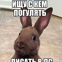 ���� ������, �����-��������� - ��������� 18 ������� 2015 � ������ ������ ��������