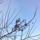 ���� Valka, ������, 63 ���� - ��������� 30 ������ 2015 � ������ ���� ����������