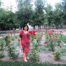 ���� ������, ������-��-����, 71 ��� - ��������� 19 ������� 2014