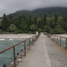 ���� �������, ���������, 47 ��� - ��������� 17 ������ 2015