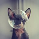 ���� Reina *****, ������, 49 ��� - ��������� 27 ������� 2014 � ������ ������ ��������