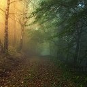 ���� ����, ������ �������� - ��������� 11 ������ 2015 � ������ ���� ����������