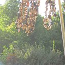 ���� Roman, �������, 60 ��� - ��������� 18 ������� 2015 � ������ ���� ����������