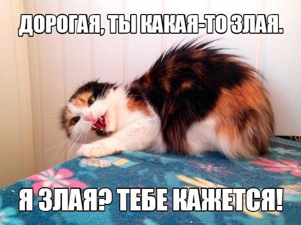 -  - 22  2014  20:34