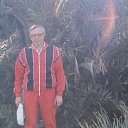 ���� ����, ����������� - ��������� 15 ������ 2015 � ������ ���� ����������