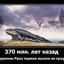 ���� ������, �����-��������� - ��������� 19 ������� 2015 � ������ ������ ��������
