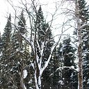 ���� �������� ���� ����������, ��������, 72 ���� - ��������� 5 ������� 2015 � ������ ���� ������� � ���� ������