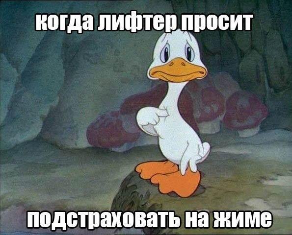    ! - 19  2015  01:21
