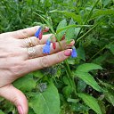 ���� �����, ���� - ��������� 3 ������ 2015 � ������ ���� ����������