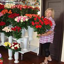 ���� ������, ����, 66 ��� - ��������� 1 ����� 2015 � ������ ���� ����������