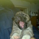 ���� �����, �������� - ��������� 20 ������ 2015 � ������ ���� ����������