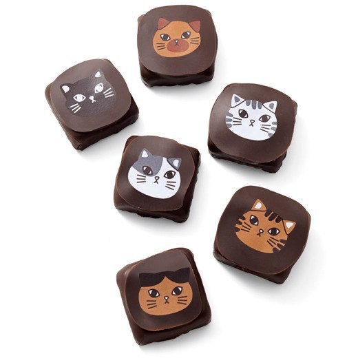 Nyarshmallow & Cat Chocolate - 6