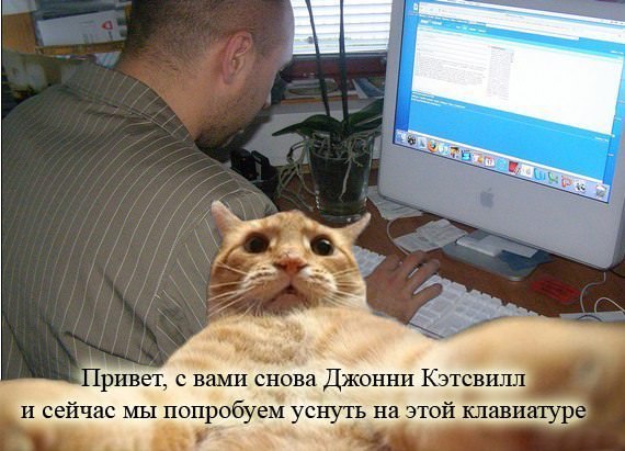   :3 - 7  2015  21:59 - 6
