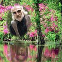 ���� Volk, �����, 67 ��� - ��������� 5 ����� 2015 � ������ ���� ����������