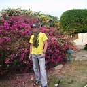 ���� ������, �������, 59 ��� - ��������� 13 ������� 2015 � ������ ���� ����������