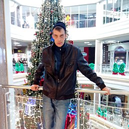 �����, �������, 37 ���