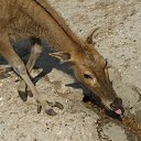 ���� Alfira, ������ - ��������� 11 ����� 2015