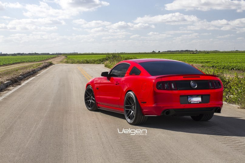 Ford Mustang GT. - 3