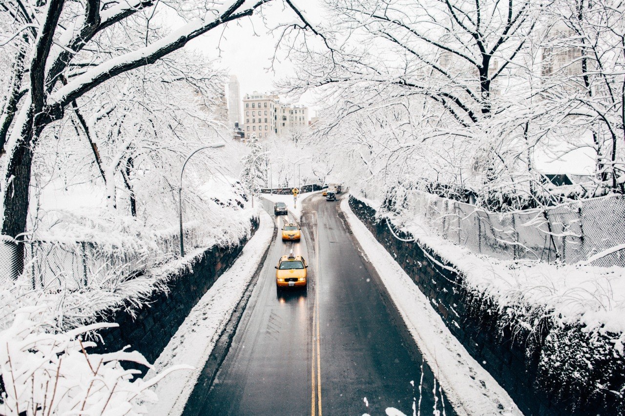 Central Park, New York