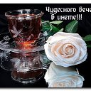 ���� ����, �������� - ��������� 5 ����� 2015 � ������ ������ ��������
