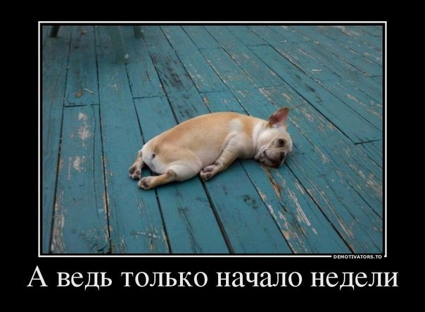   - 2  2015  23:07