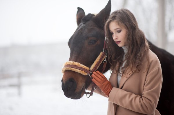 ph ������� �����.model ����� �������� - 8